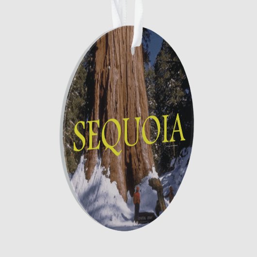 ABH Sequoia Ornament (voorkant)