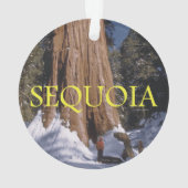 ABH Sequoia Ornament (achterkant)