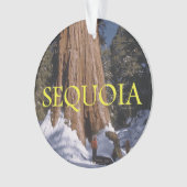 ABH Sequoia Ornament (voorkant)