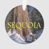 ABH Sequoia Ornament (voorkant)