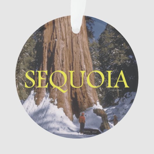 ABH Sequoia Ornament (voorkant)