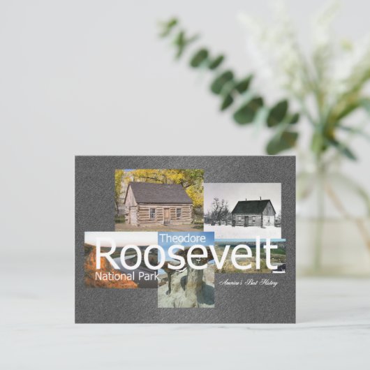 ABH Theodore Roosevelt NP Briefkaart (Staand voorkant)