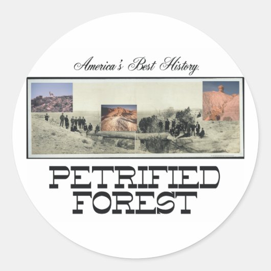 ABH Versteend bos Ronde Sticker (Voorkant)