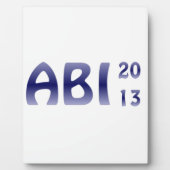 ABI 2013 FOTOPLAAT (Voorkant)