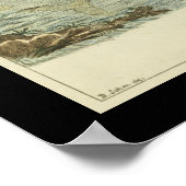 abicans White Whale Print (Hoek)