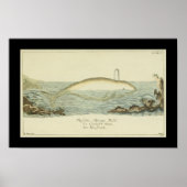  abicans White Whale Print (Voorkant)