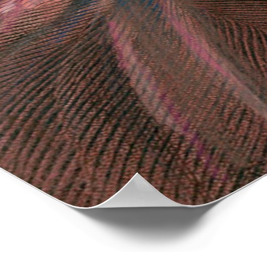 Abigail Adams later in het leven, door Gilbert Stu Poster (Hoek)