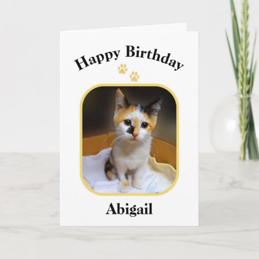 Abigail Calico Kitten Happy Birthday Kaart (Voorkant)