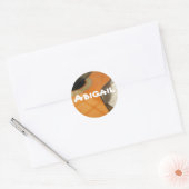 Abigail gitaar naamlabel ronde sticker (Envelop)