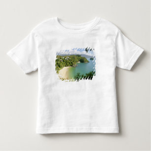 Able Tasman NP, Nelson, Nieuw-Zeeland. De vele Kinder Shirts