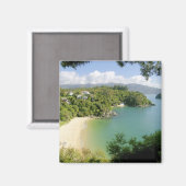 Able Tasman NP, Nelson, Nieuw-Zeeland. De vele Magneet (Voorkant / Achterkant)