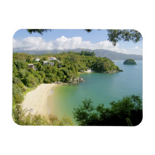 Able Tasman NP, Nelson, Nieuw-Zeeland. De vele Magneet