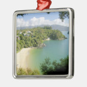 Able Tasman NP, Nelson, Nieuw-Zeeland. De vele Metalen Ornament (Links)