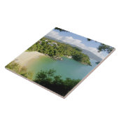 Able Tasman NP, Nelson, Nieuw-Zeeland. De vele Tegeltje (Zijkant)