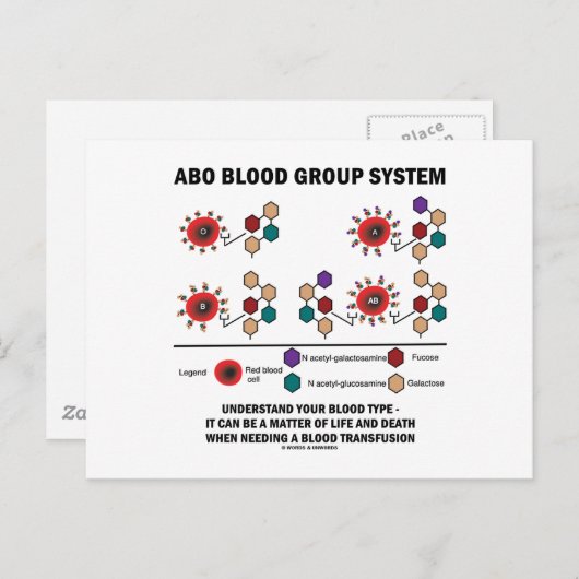 ABO Bloedgroepsysteem Begrijp bloedtype Briefkaart (Voorkant / Achterkant)