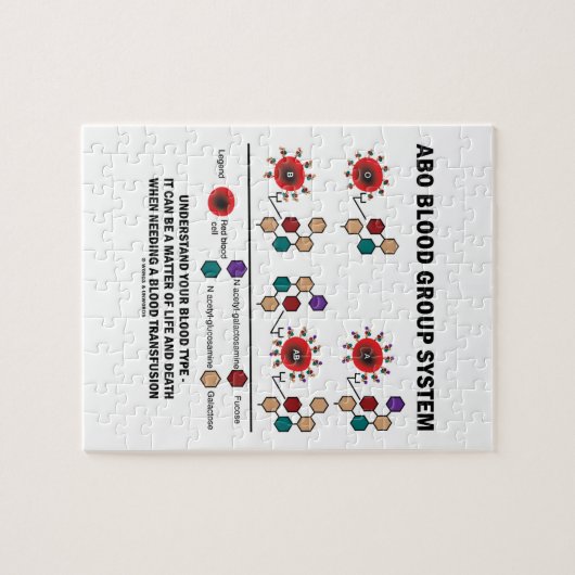 ABO Bloedgroepsysteem Begrijp bloedtype Legpuzzel (Horizontaal)