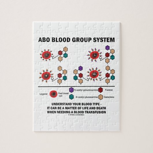 ABO Bloedgroepsysteem Begrijp bloedtype Legpuzzel (Verticaal)