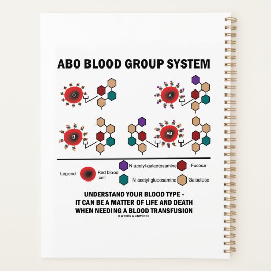 ABO Bloedgroepsysteem Begrijp bloedtype Planner (Achterkant)