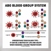 ABO Bloedgroepsysteem Begrijp bloedtype Poster (Voorkant)
