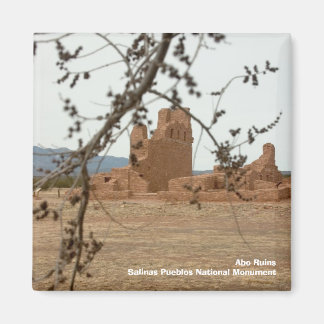 Abo-ruïnesSalinas Pueblo's Nationaal Mon... Magneet