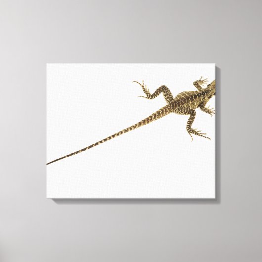 Aboreale agamidesoorten in het oosten canvas afdruk (Voorkant)