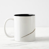 Aboreale agamidesoorten in het oosten tweekleurige koffiemok (Links)