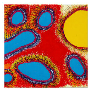 Aboriginal Abstract Art Vol 12 Perfect Poster