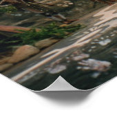 Aboriginal Poster (Hoek)