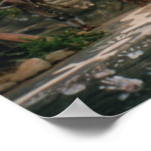 Aboriginal Poster (Hoek)