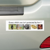 Abortus bumper sticker (Op auto)