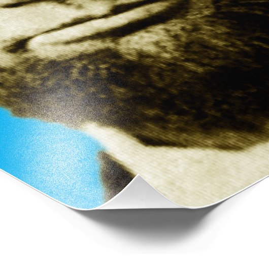 Abraham Lincoln 3 Plus Foto Afdruk (Hoek)