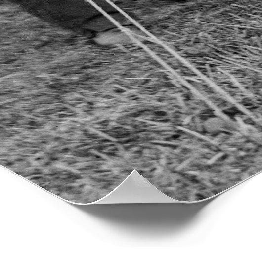 ABRAHAM LINCOLN bij ANTIETAM BATTLEFIELD 1862 Poster (Hoek)