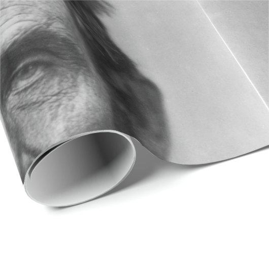 Abraham Lincoln Cadeaupapier (Rol Hoek)