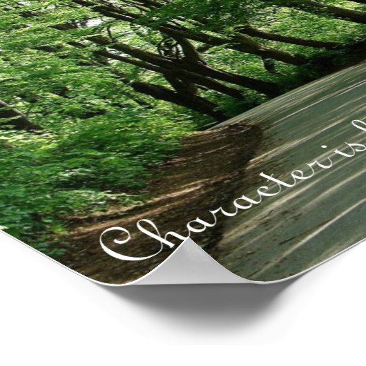 Abraham Lincoln Character Quote Poster (Hoek)