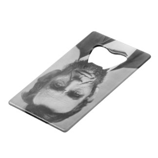Abraham Lincoln Creditkaart Flessenopener