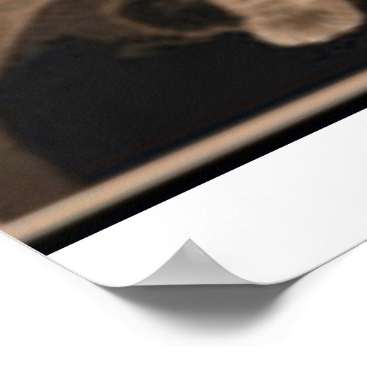 Abraham Lincoln en zijn kat "Dixie" Poster (Hoek)