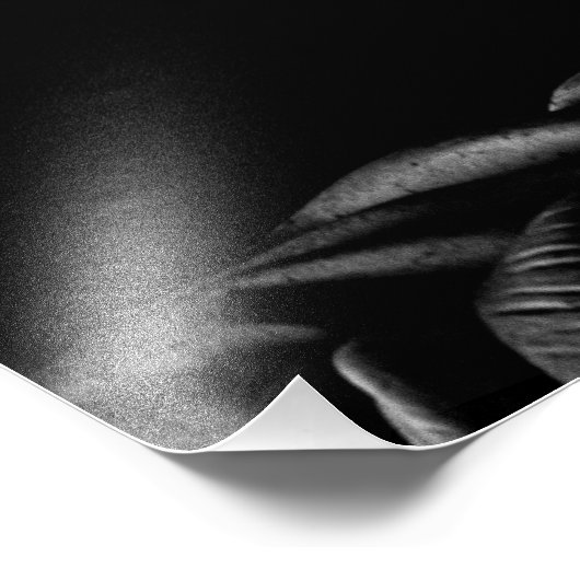 Abraham Lincoln Foto Afdruk (Hoek)