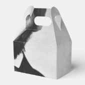 Abraham Lincoln Portrait Bedankdoosjes (Voorkant Zijde)