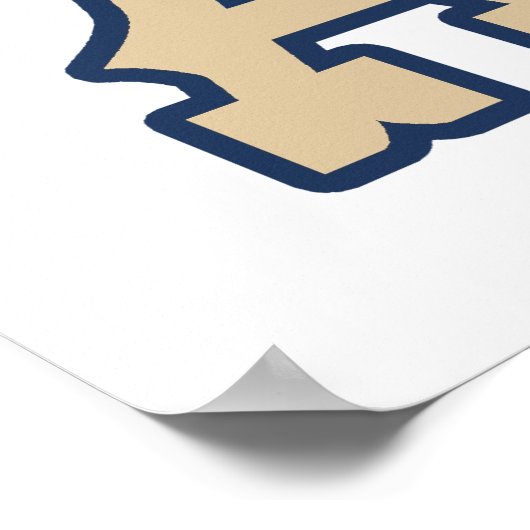 Abraham Lincoln Poster (Hoek)