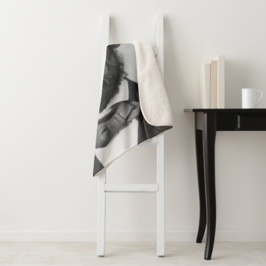 Abraham Lincoln Sherpa Deken (In situ)