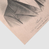 Abraham Lincoln Verkozen President 1860 Lithograaf Tissuepapier (Detail)