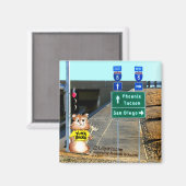 Abrahamster in Yuma Forking Gedachten Magneet (Voorkant / Achterkant)