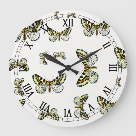 Abraxas grossulariata, de Magpie Moth Color Image Grote Klok (Voorkant)