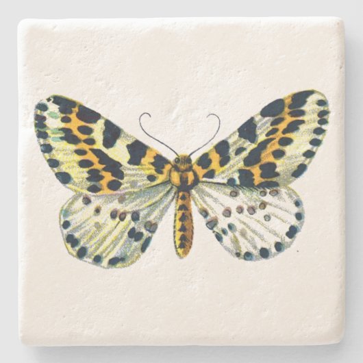 Abraxas grossulariata, de Magpie Moth Color Image Stenen Onderzetter (Voorkant)