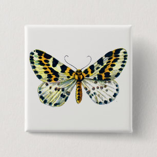 Abraxas grossulariata, de Magpie Moth Color Image Vierkante Button 5,1 Cm