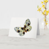 Abraxas sylvata - de gekloonde Magpie Moth Kaart (Gele Bloem)