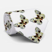 Abraxas sylvata - de gekloonde Magpie Moth Stropdas (Opgerold)