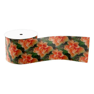 Abrikocyt Hibiscus Tropische Bloem Grosgrain Lint