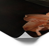 Abrikoos Amaryllis Flowers Art Print Poster (Hoek)