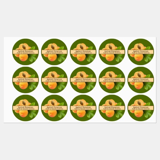 Abrikoos behoudt Modern Circle Food Label (Vel)